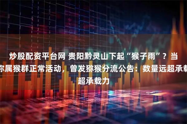 炒股配资平台网 贵阳黔灵山下起“猴子雨”?当地称属猴群正常活动,曾发猕猴分流公告:数量远超承载力