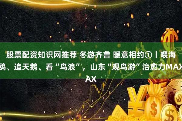 股票配资知识网推荐 冬游齐鲁 暖意相约①丨喂海鸥、追天鹅、看“鸟浪”,山东“观鸟游”治愈力MAX